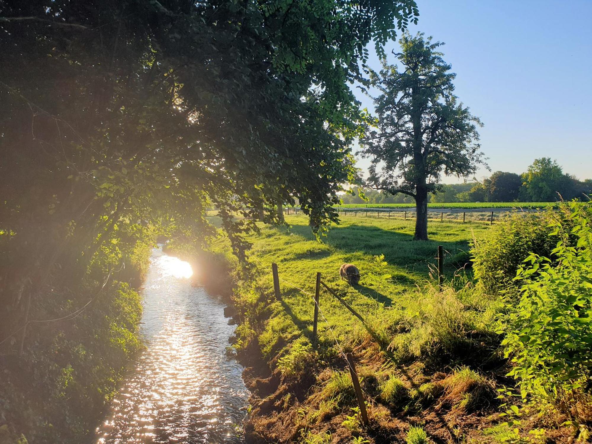 Meschermolen, Overnachten In De Schuur Eijsden Luaran gambar
