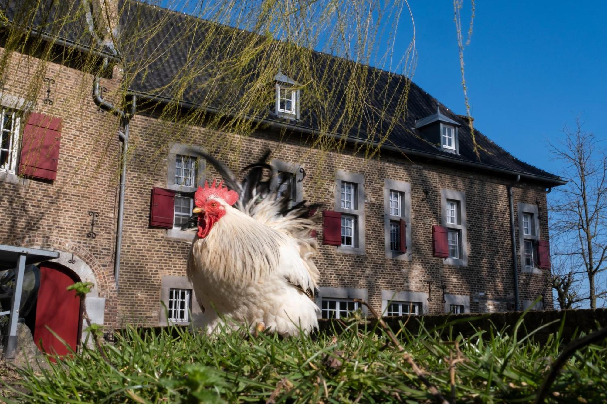 Meschermolen, Overnachten In De Schuur Eijsden Luaran gambar